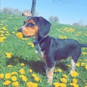 Meet your Posher, Tristan